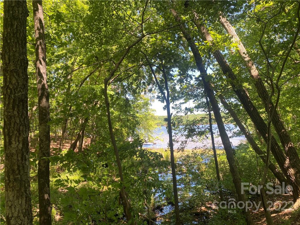 Lot 90 Edgewater Drive Norwood NC 28128