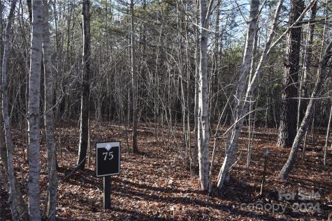 Lot 75 Tayberry Drive Nebo NC 28761