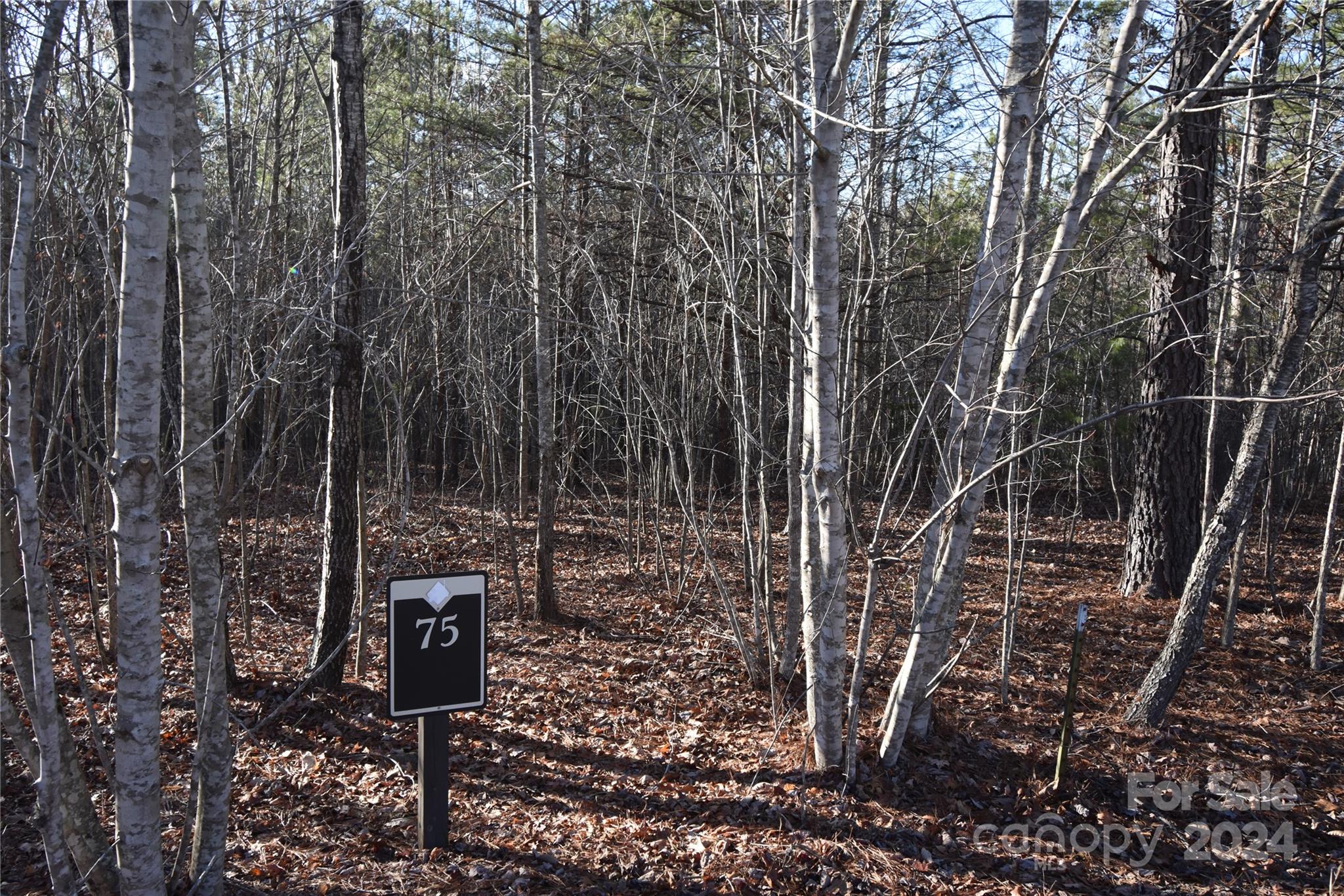Lot 75 Tayberry Drive Nebo NC 28761