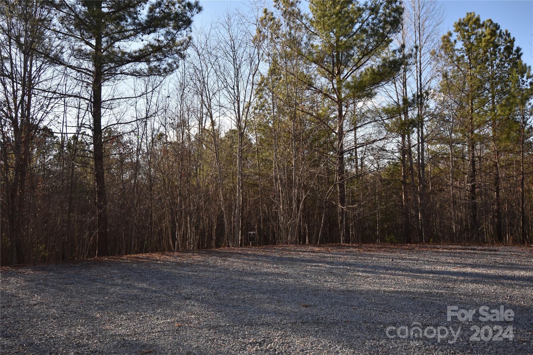 Lot 75 Tayberry Drive Nebo NC 28761