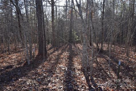 Lot 75 Tayberry Drive Nebo NC 28761