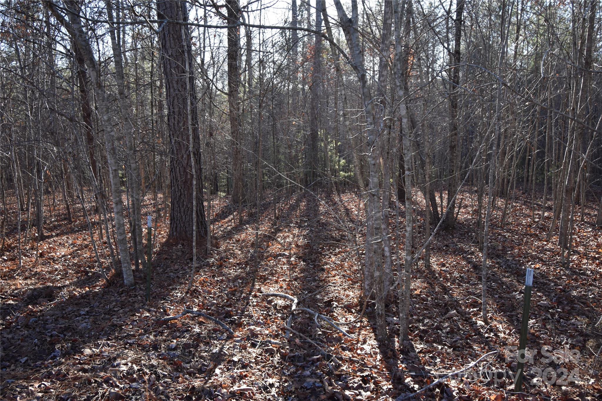 Lot 75 Tayberry Drive Nebo NC 28761