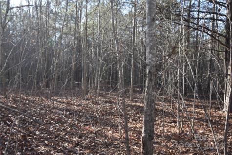 Lot 75 Tayberry Drive Nebo NC 28761