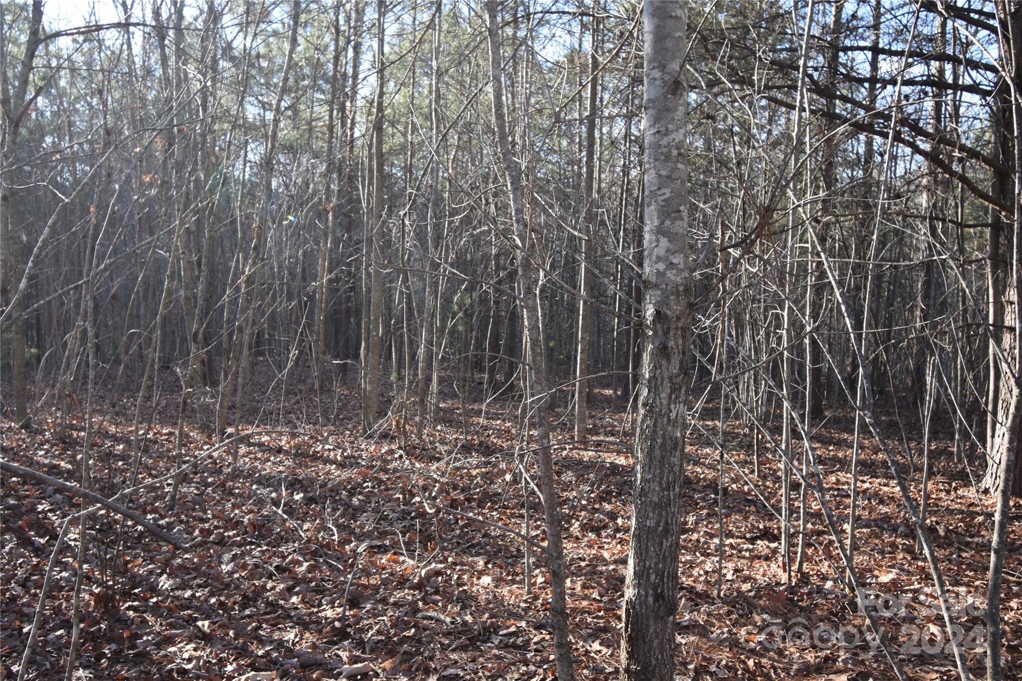 Lot 75 Tayberry Drive Nebo NC 28761