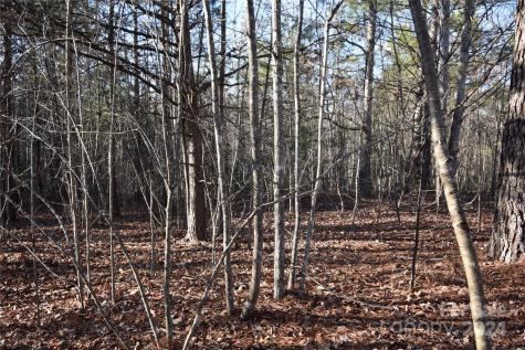 Lot 75 Tayberry Drive Nebo NC 28761