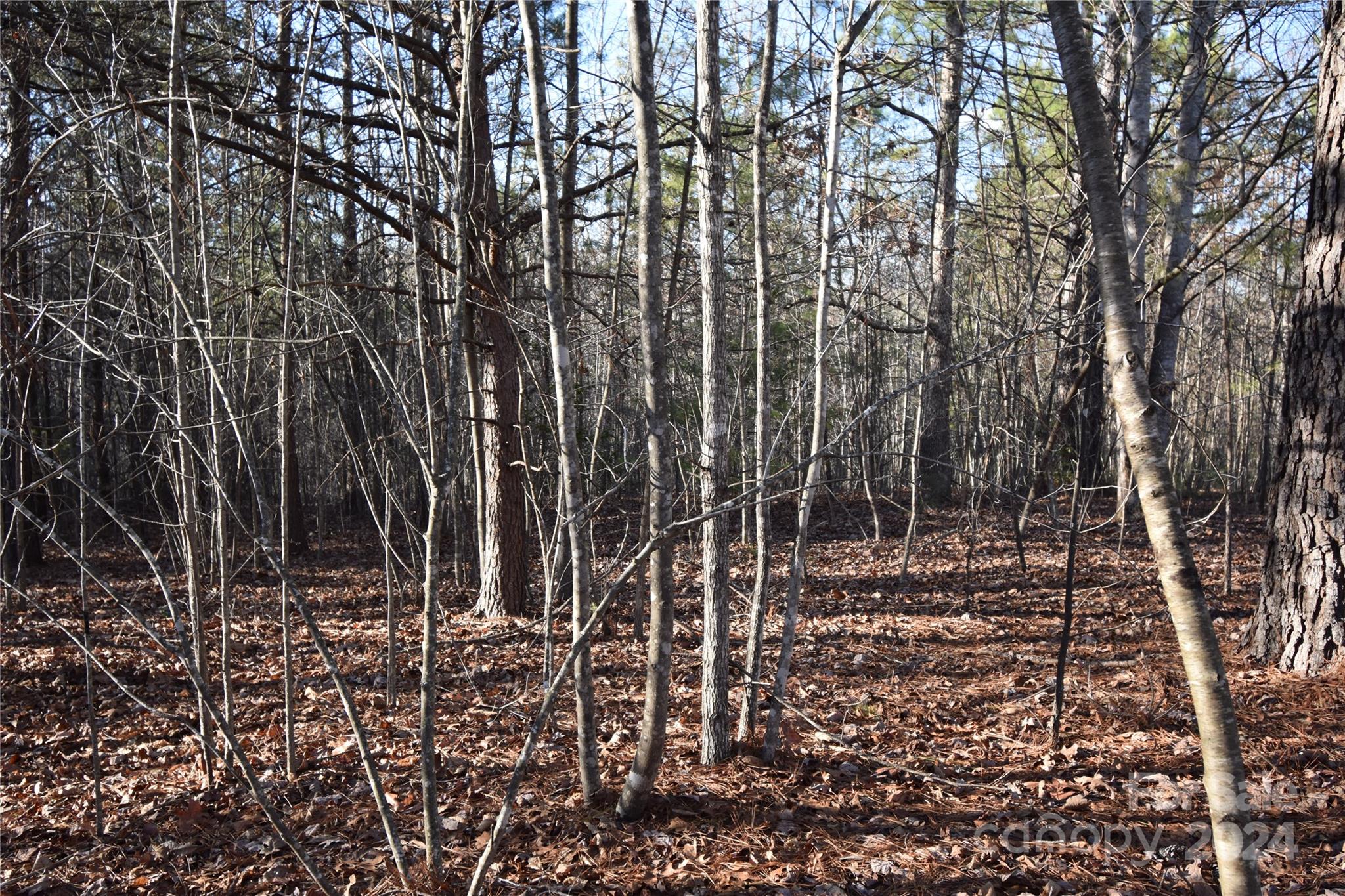 Lot 75 Tayberry Drive Nebo NC 28761