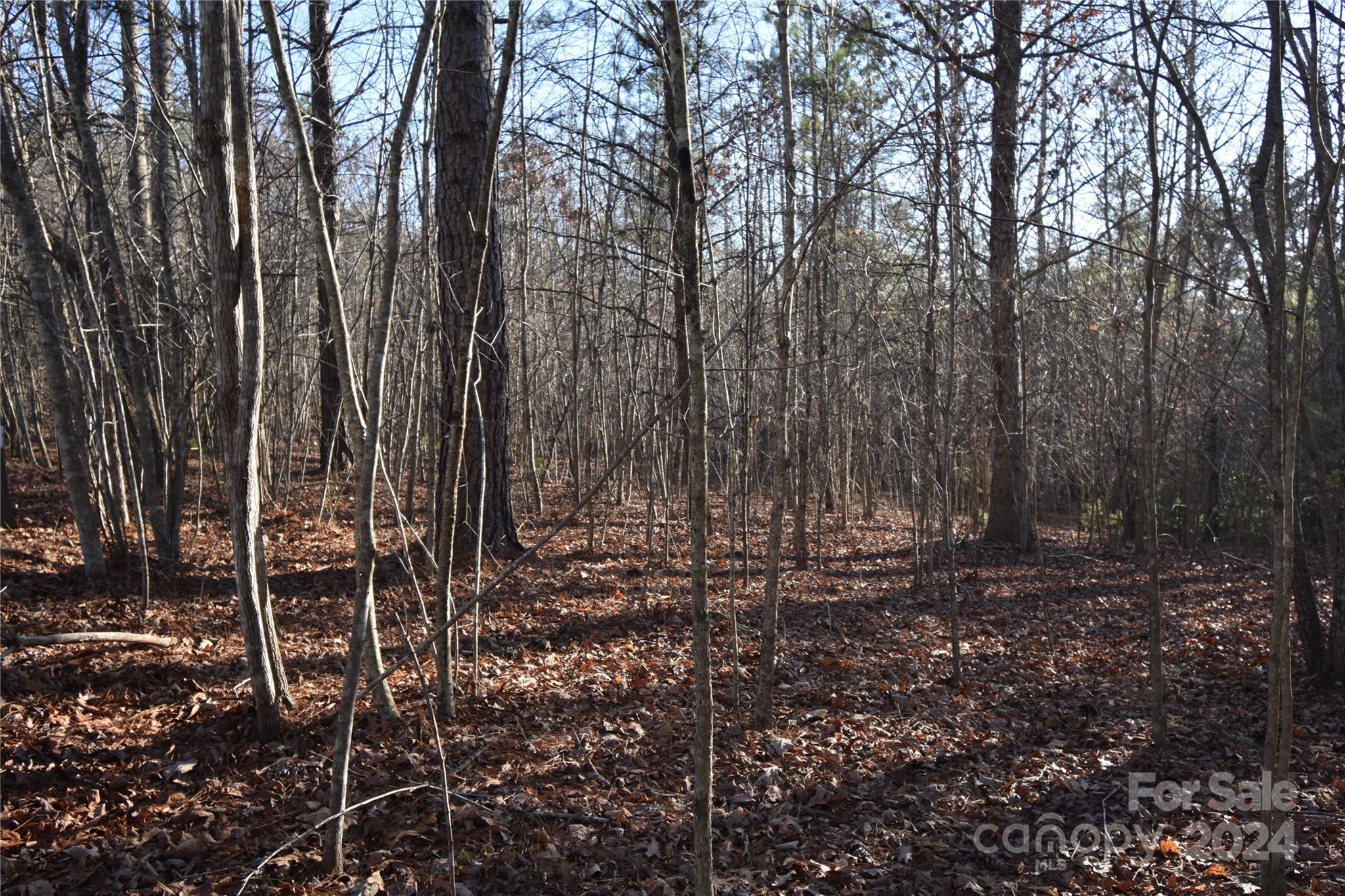 Lot 75 Tayberry Drive Nebo NC 28761