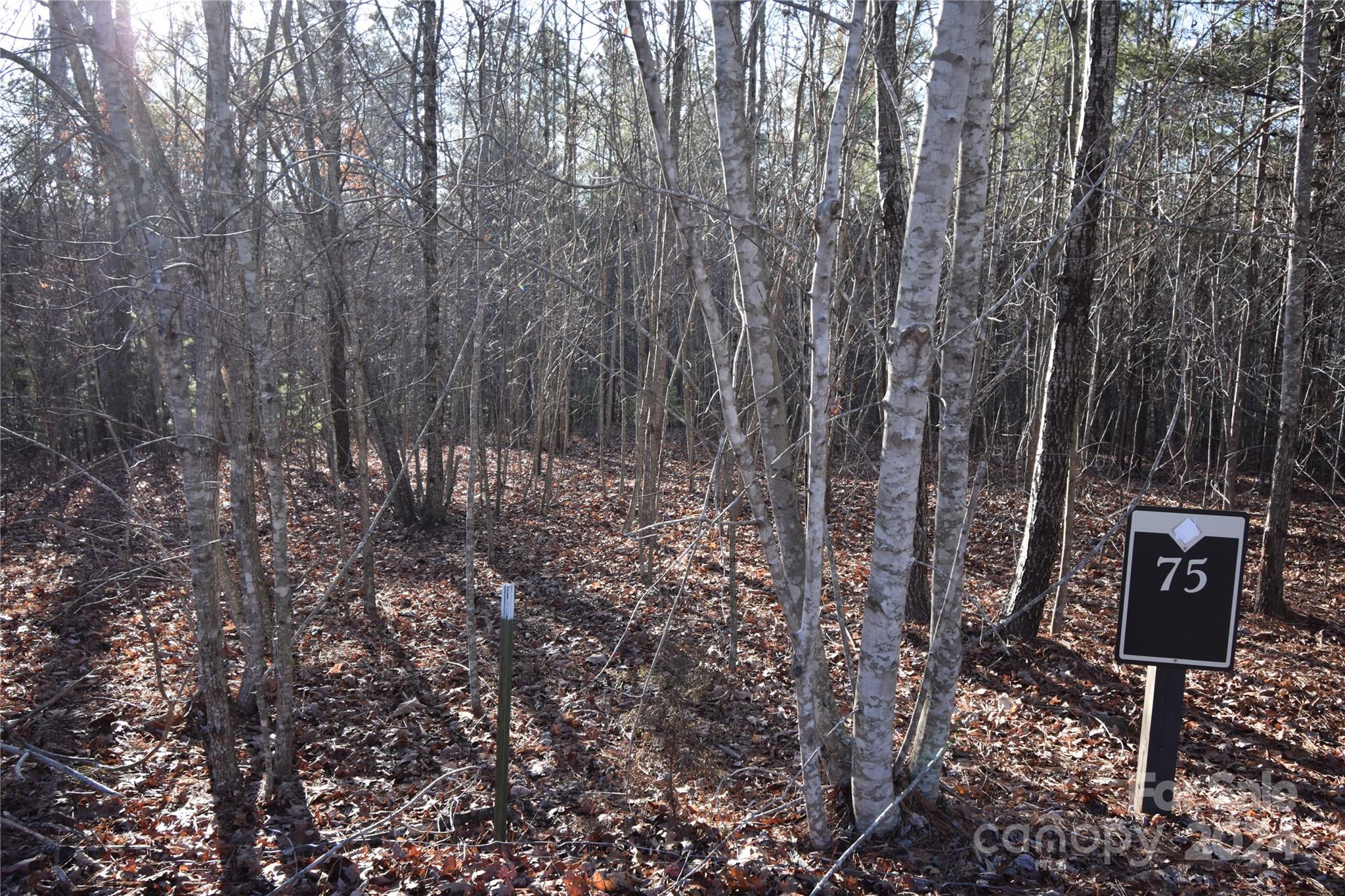 Lot 75 Tayberry Drive Nebo NC 28761