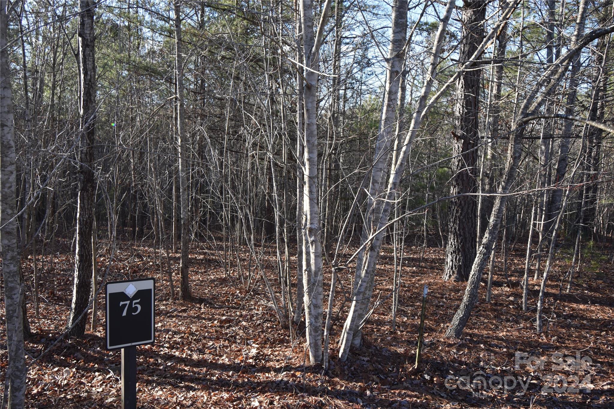 Lot 75 Tayberry Drive Nebo NC 28761