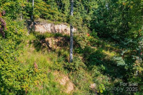 300 Running Deer Lane Mars Hill NC 28754