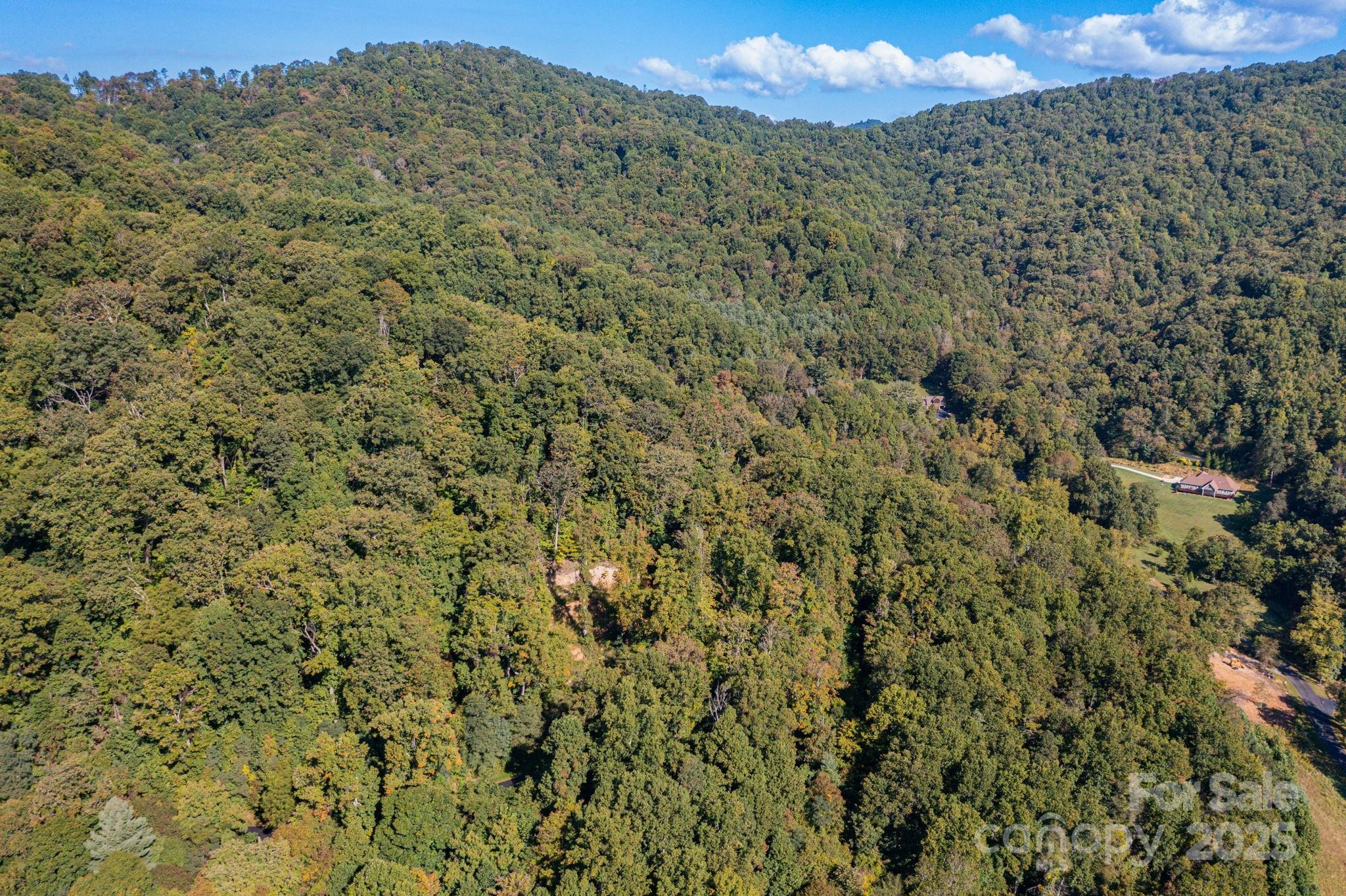 300 Running Deer Lane Mars Hill NC 28754
