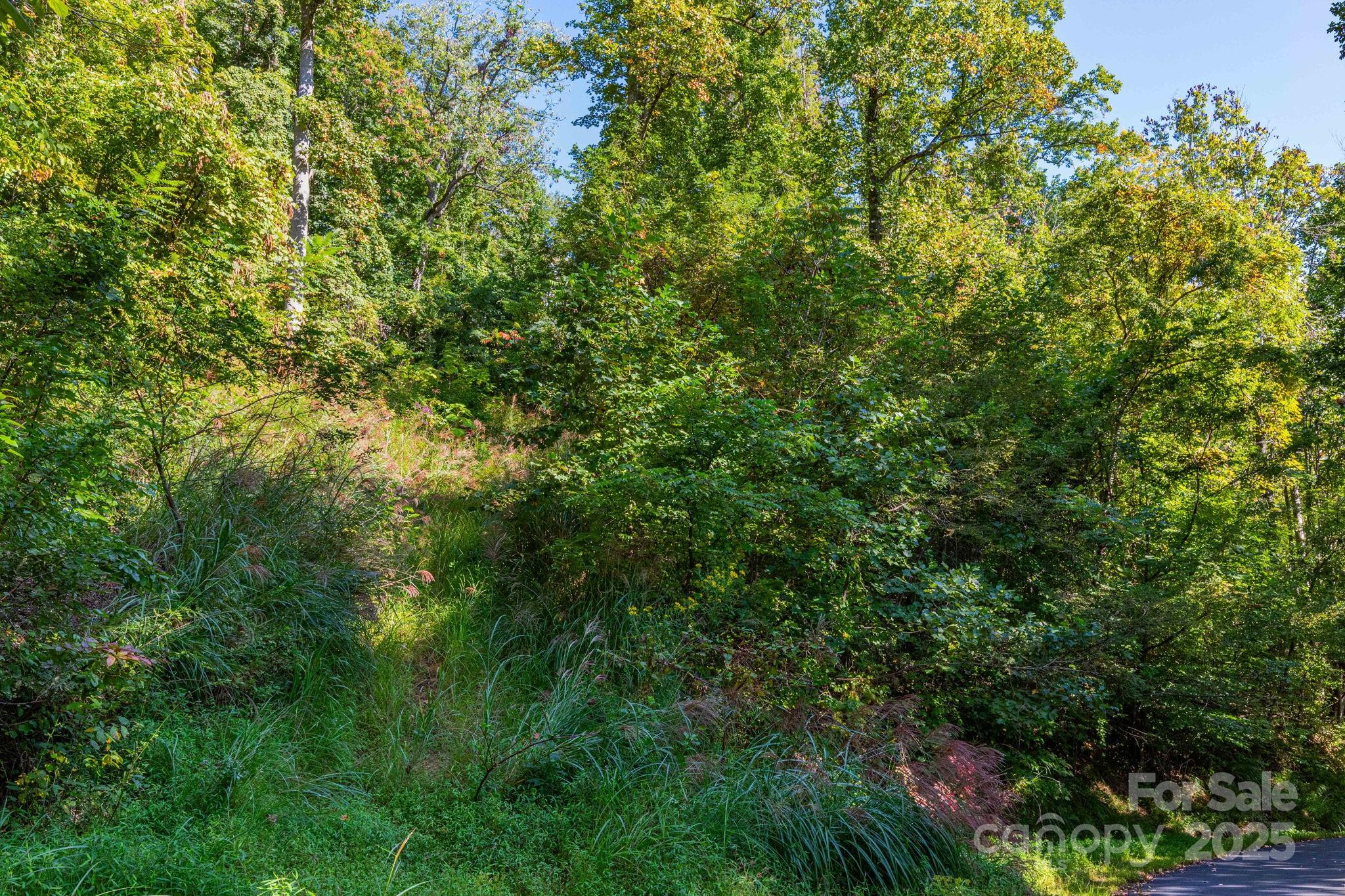 300 Running Deer Lane Mars Hill NC 28754