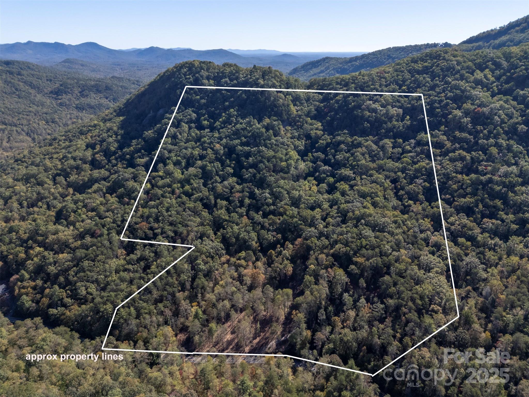 3298 Buffalo Creek Road Lake Lure NC 28746