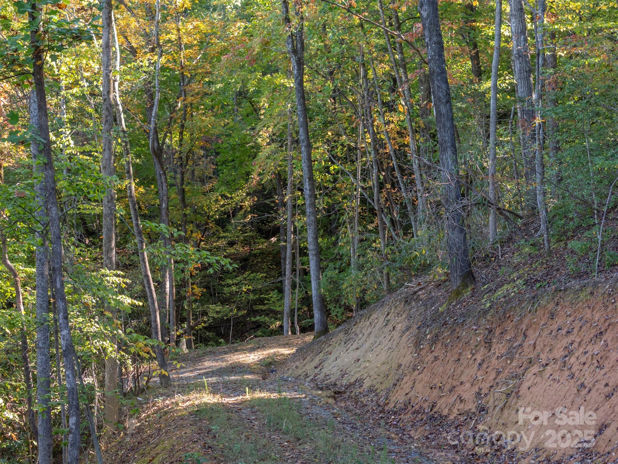 3298 Buffalo Creek Road Lake Lure NC 28746