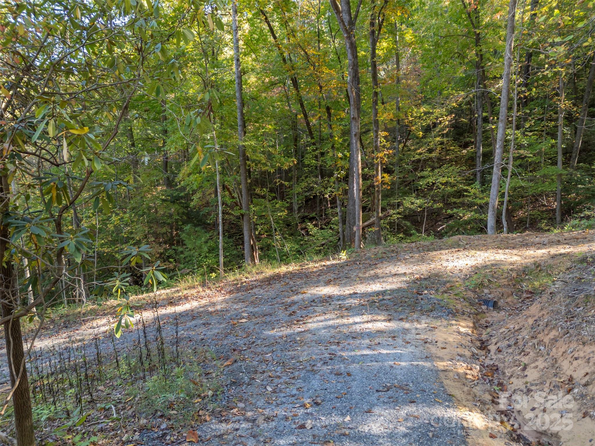3298 Buffalo Creek Road Lake Lure NC 28746