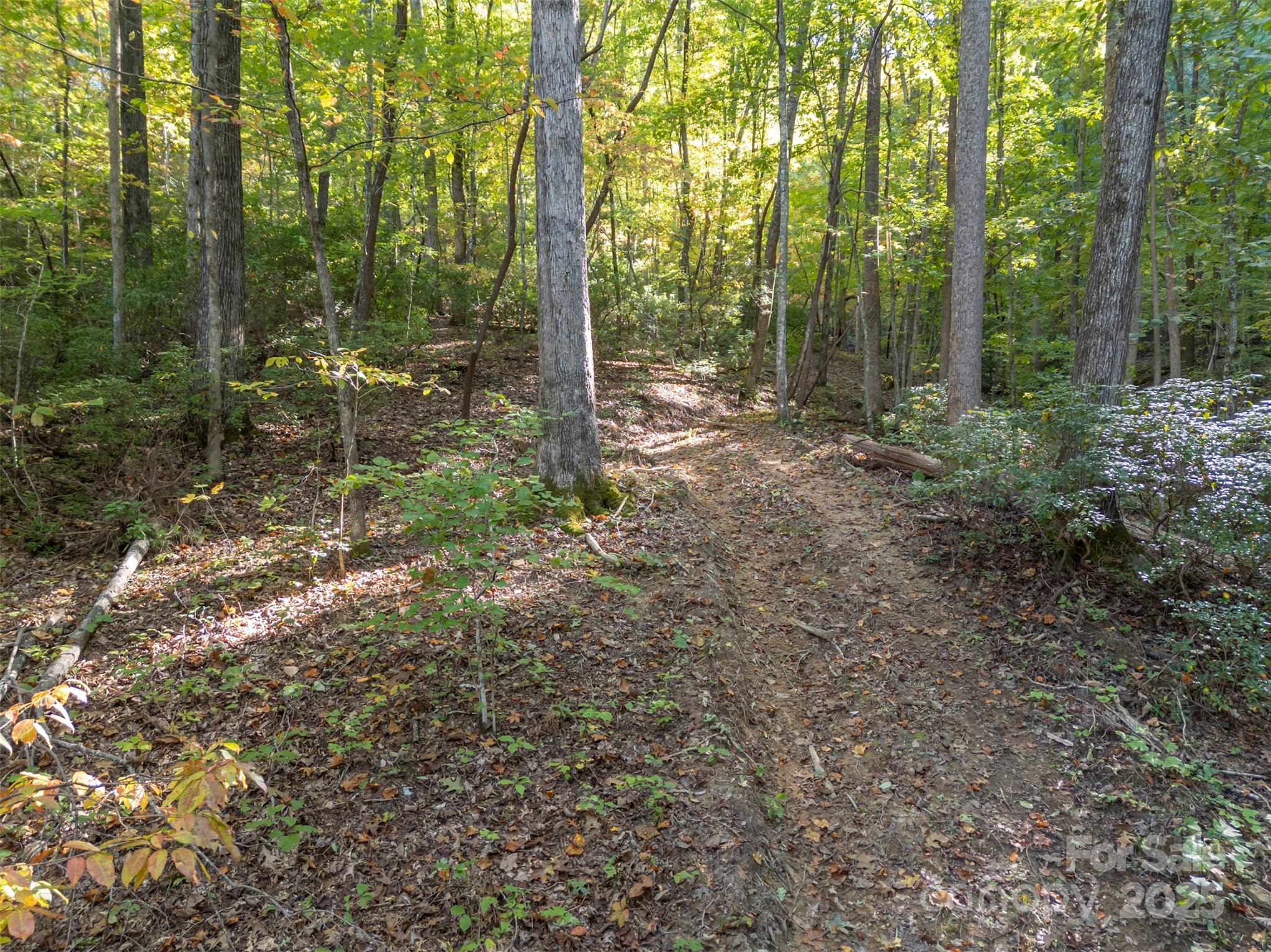 3298 Buffalo Creek Road Lake Lure NC 28746