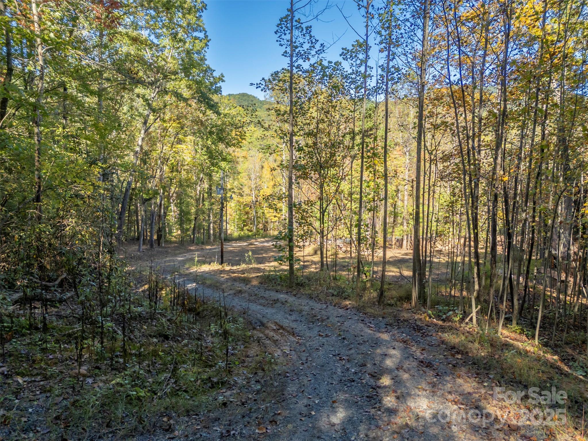 3298 Buffalo Creek Road Lake Lure NC 28746