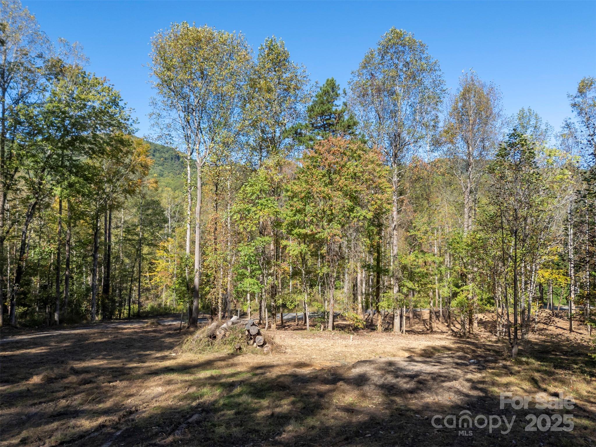 3298 Buffalo Creek Road Lake Lure NC 28746