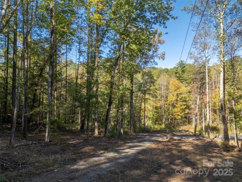 3298 Buffalo Creek Road Lake Lure NC 28746