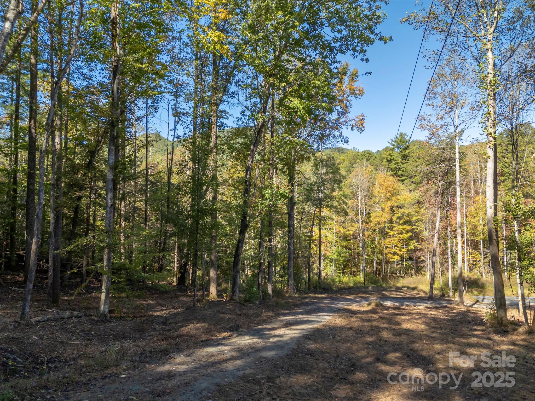 3298 Buffalo Creek Road Lake Lure NC 28746