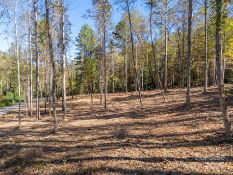 3298 Buffalo Creek Road Lake Lure NC 28746