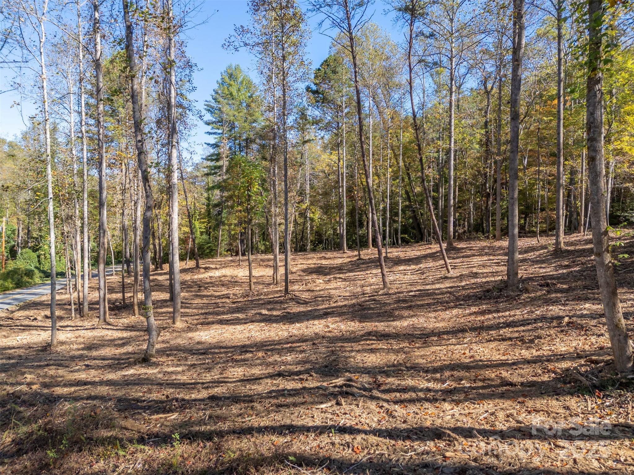 3298 Buffalo Creek Road Lake Lure NC 28746