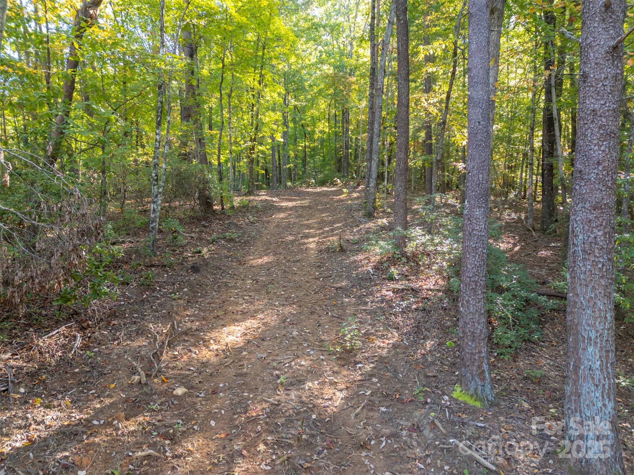 3298 Buffalo Creek Road Lake Lure NC 28746