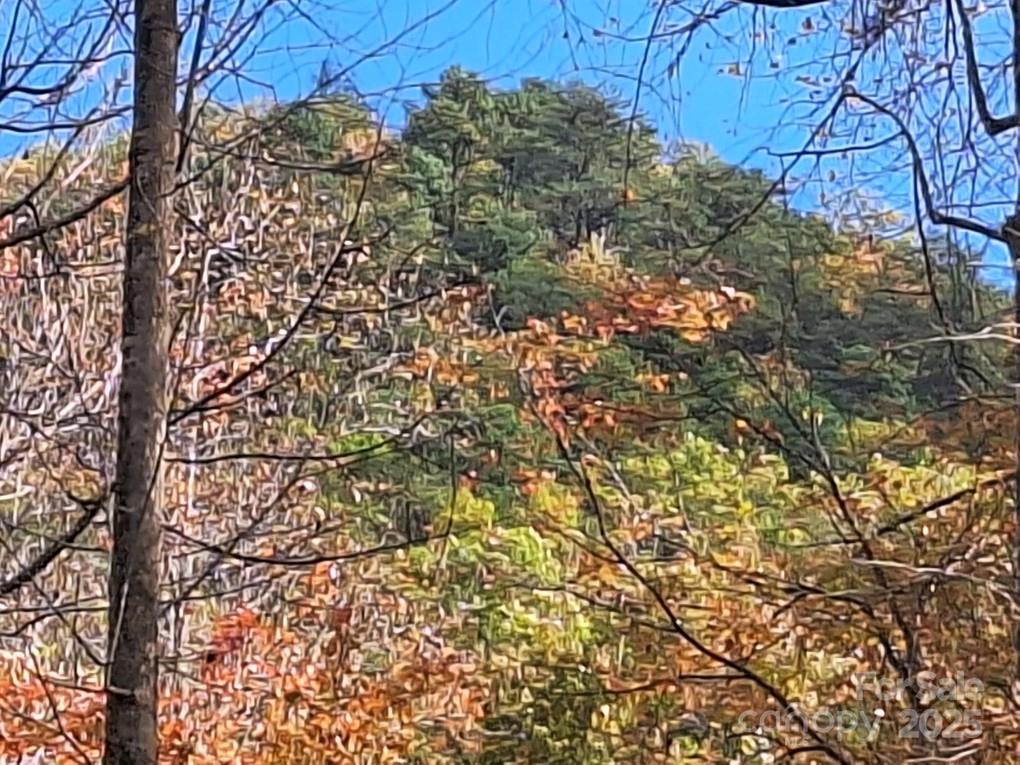 3298 Buffalo Creek Road Lake Lure NC 28746