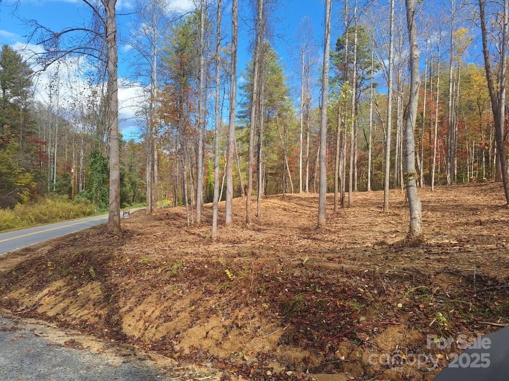 3298 Buffalo Creek Road Lake Lure NC 28746