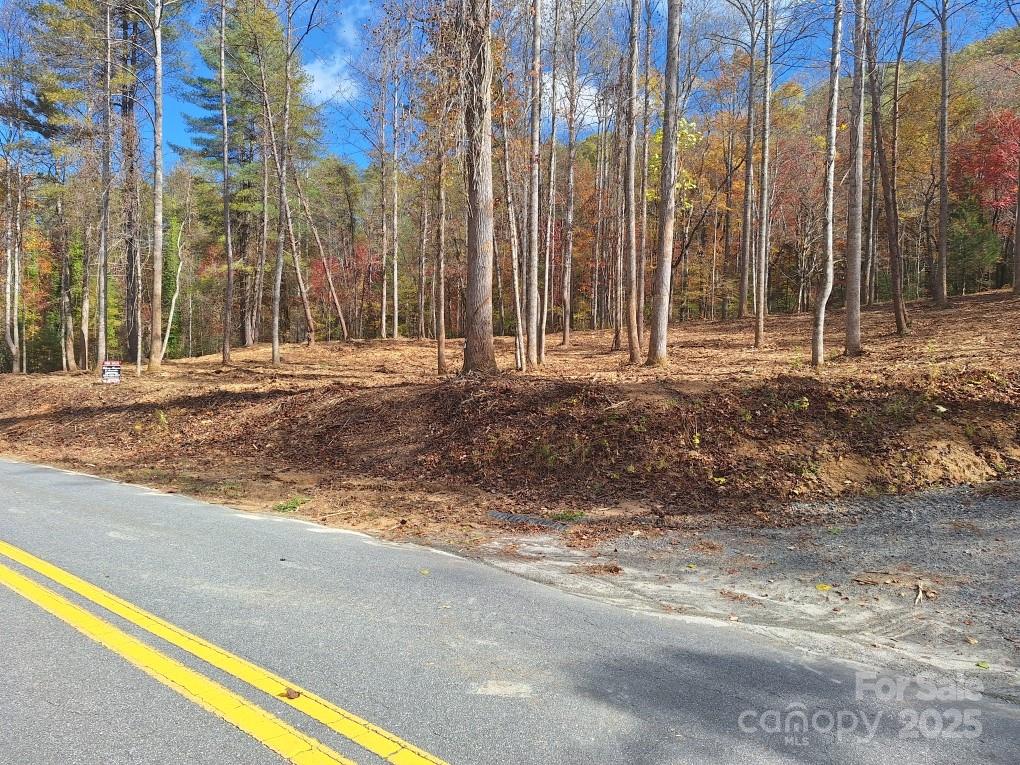 3298 Buffalo Creek Road Lake Lure NC 28746