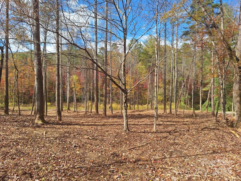 3298 Buffalo Creek Road Lake Lure NC 28746