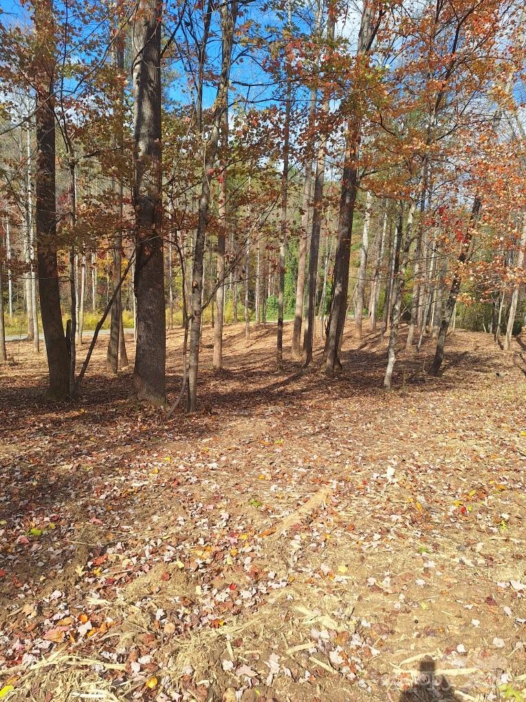 3298 Buffalo Creek Road Lake Lure NC 28746