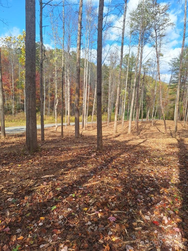 3298 Buffalo Creek Road Lake Lure NC 28746