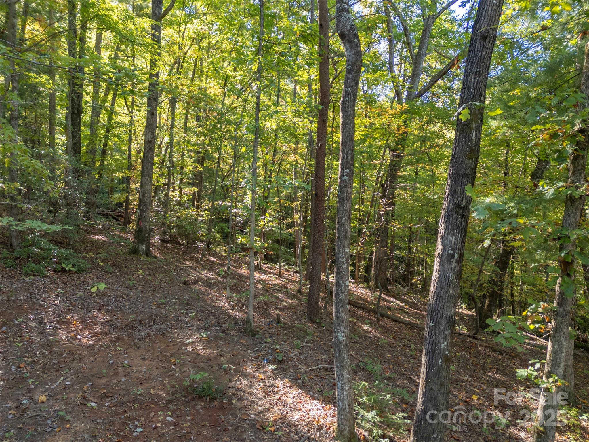 3298 Buffalo Creek Road Lake Lure NC 28746
