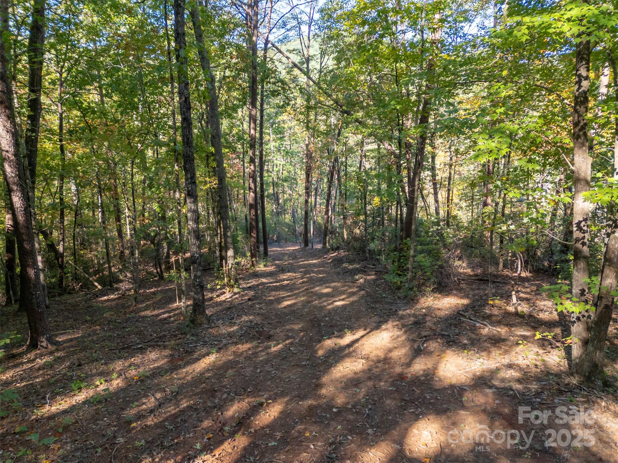 3298 Buffalo Creek Road Lake Lure NC 28746