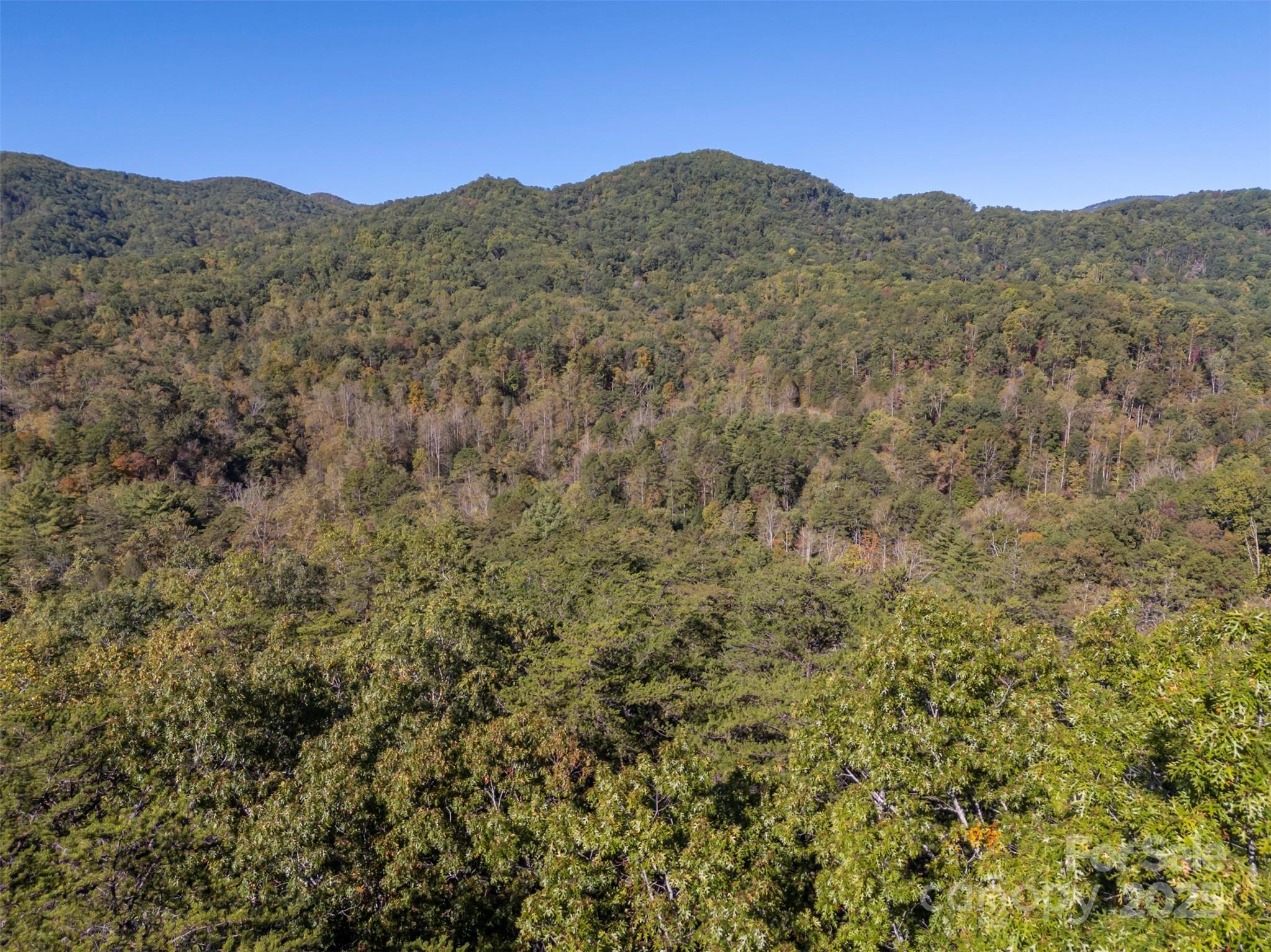 3298 Buffalo Creek Road Lake Lure NC 28746