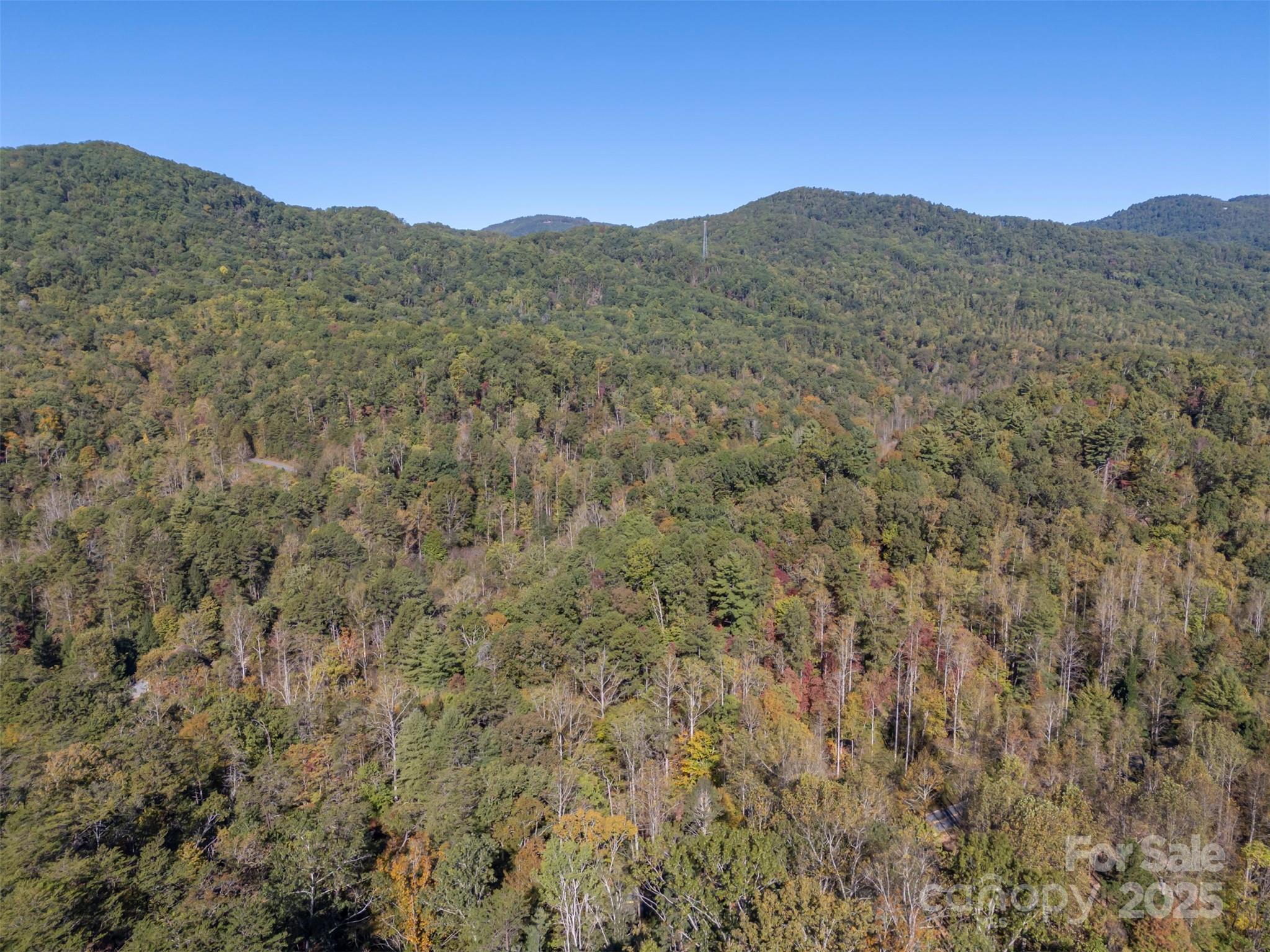 3298 Buffalo Creek Road Lake Lure NC 28746
