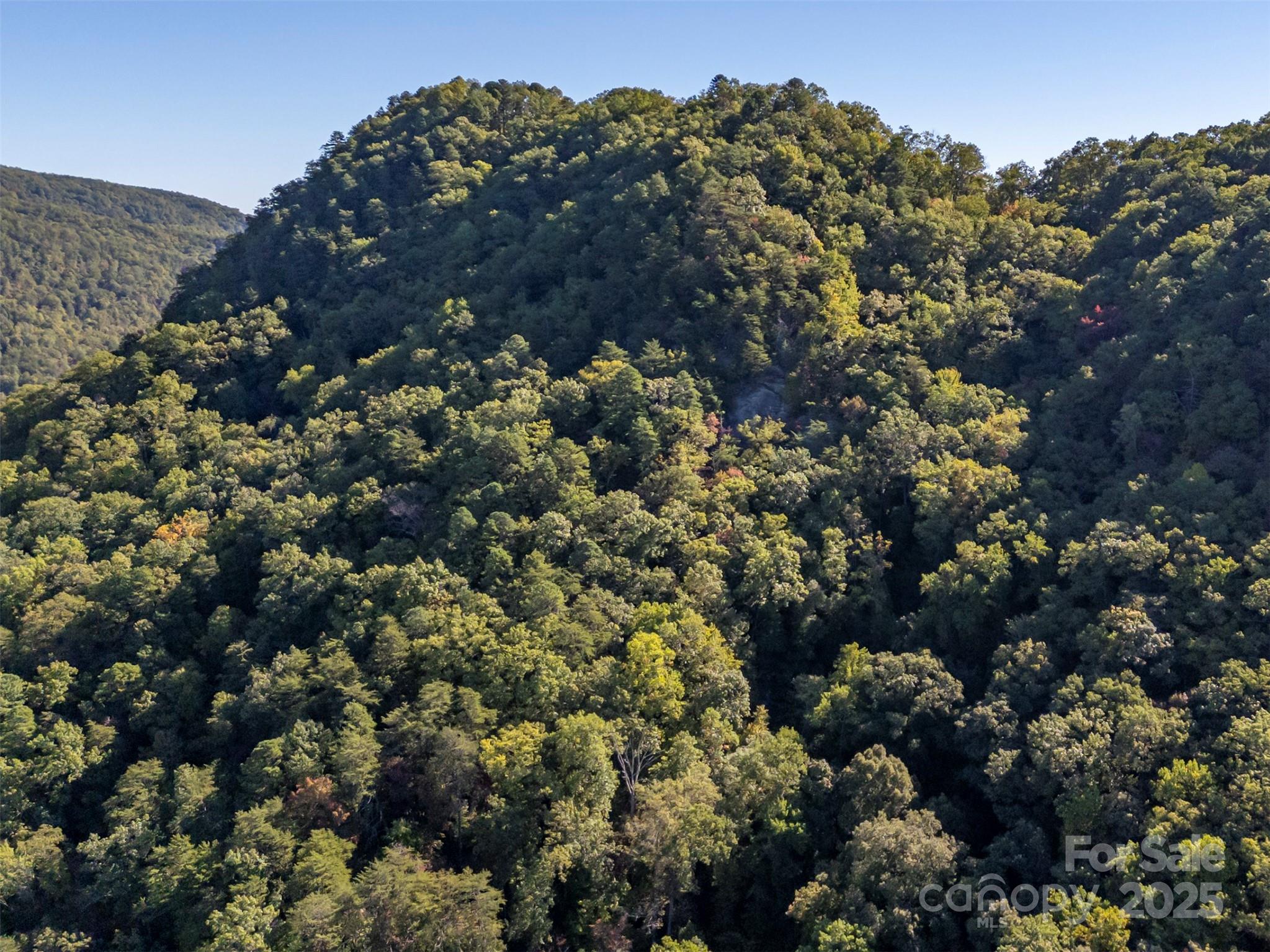 3298 Buffalo Creek Road Lake Lure NC 28746