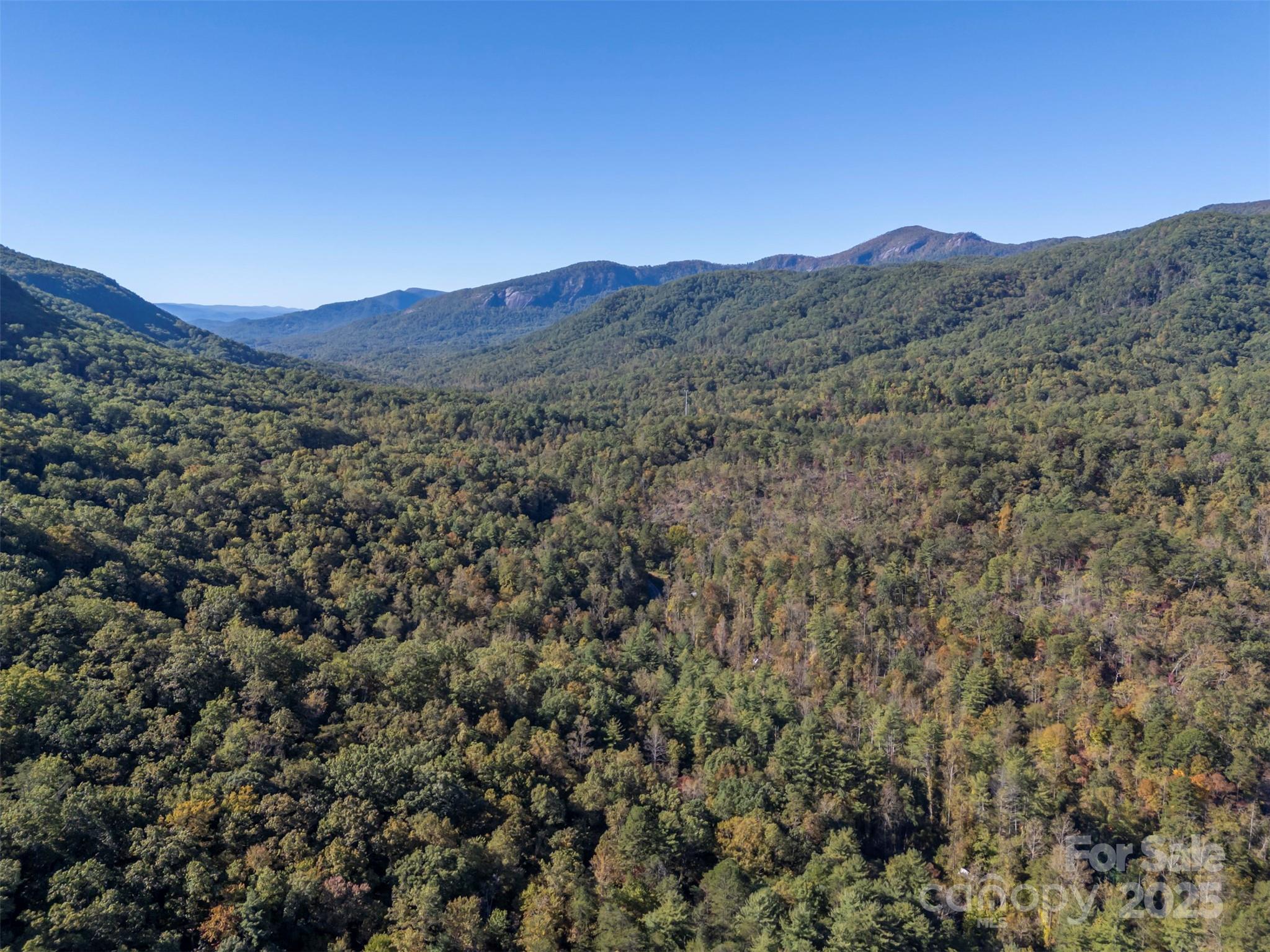 3298 Buffalo Creek Road Lake Lure NC 28746