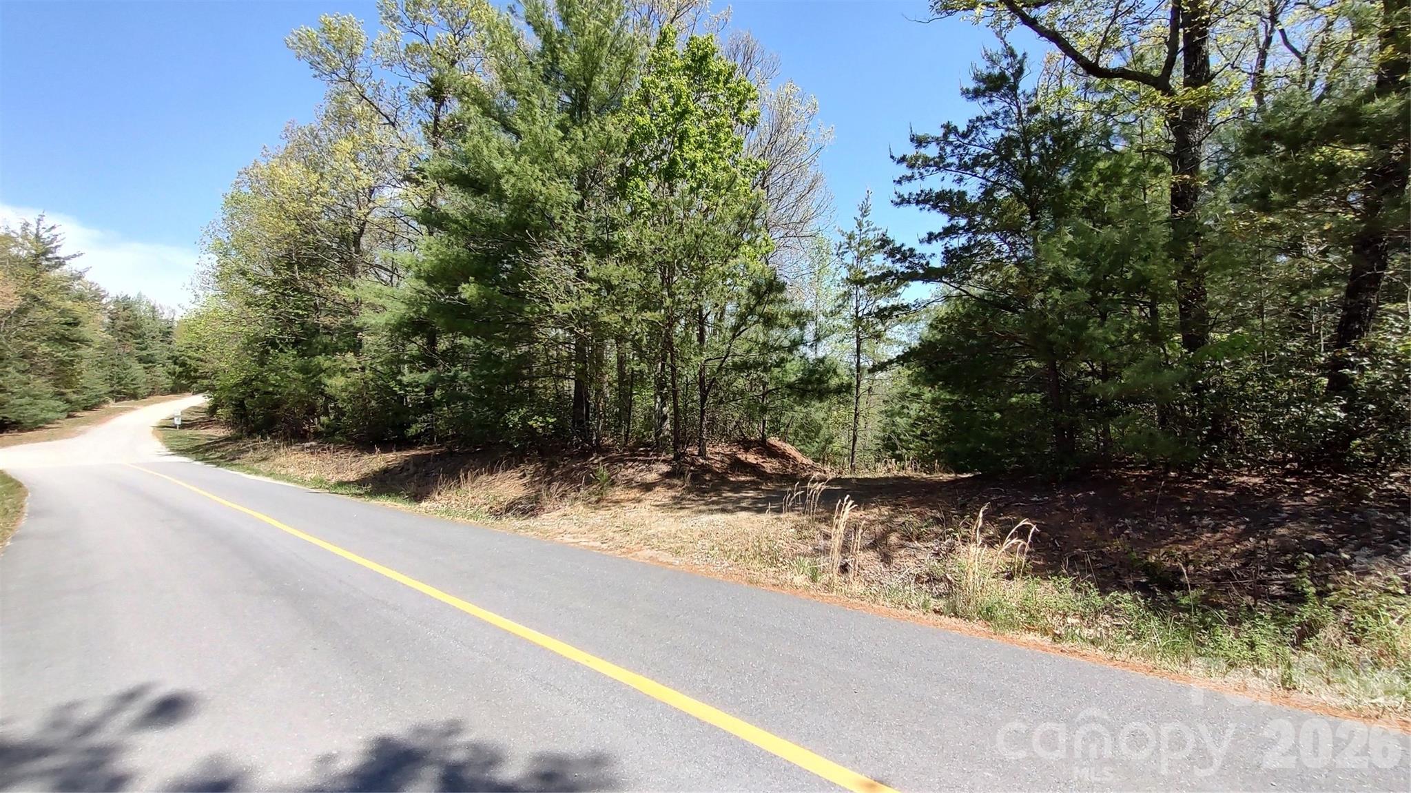 0 Staghorn Road Purlear NC 28665