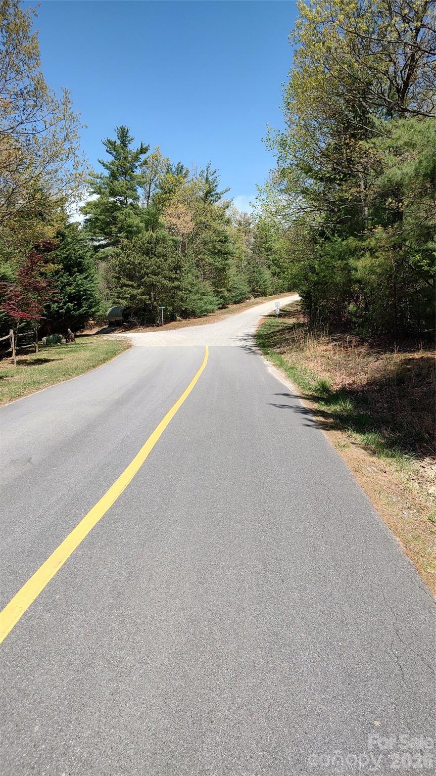 0 Staghorn Road Purlear NC 28665