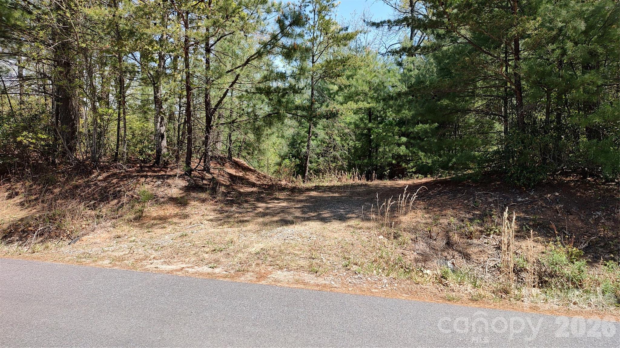 0 Staghorn Road Purlear NC 28665