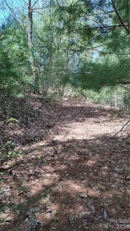 0 Staghorn Road Purlear NC 28665