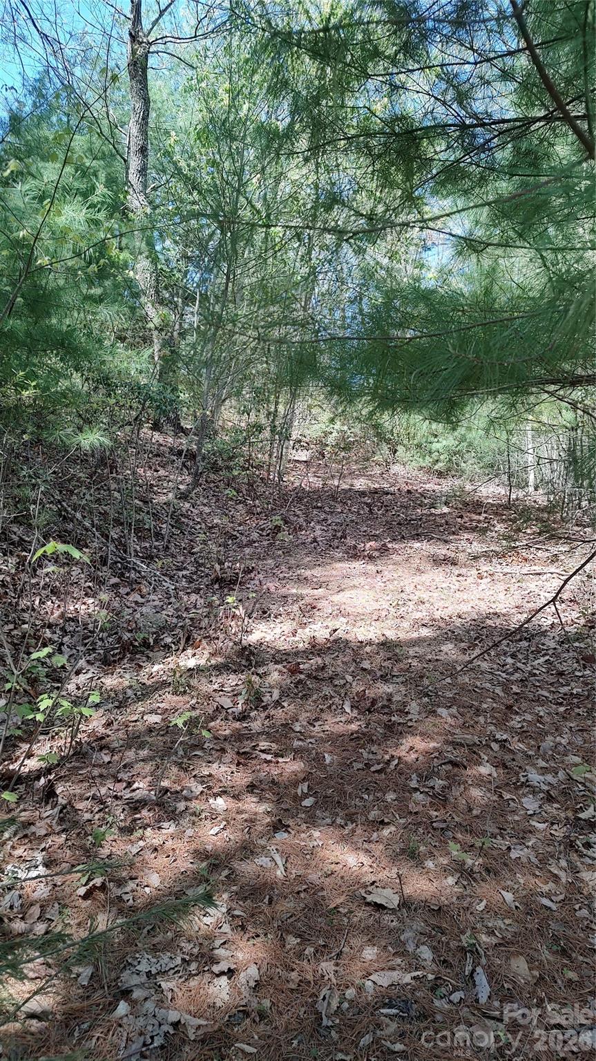0 Staghorn Road Purlear NC 28665