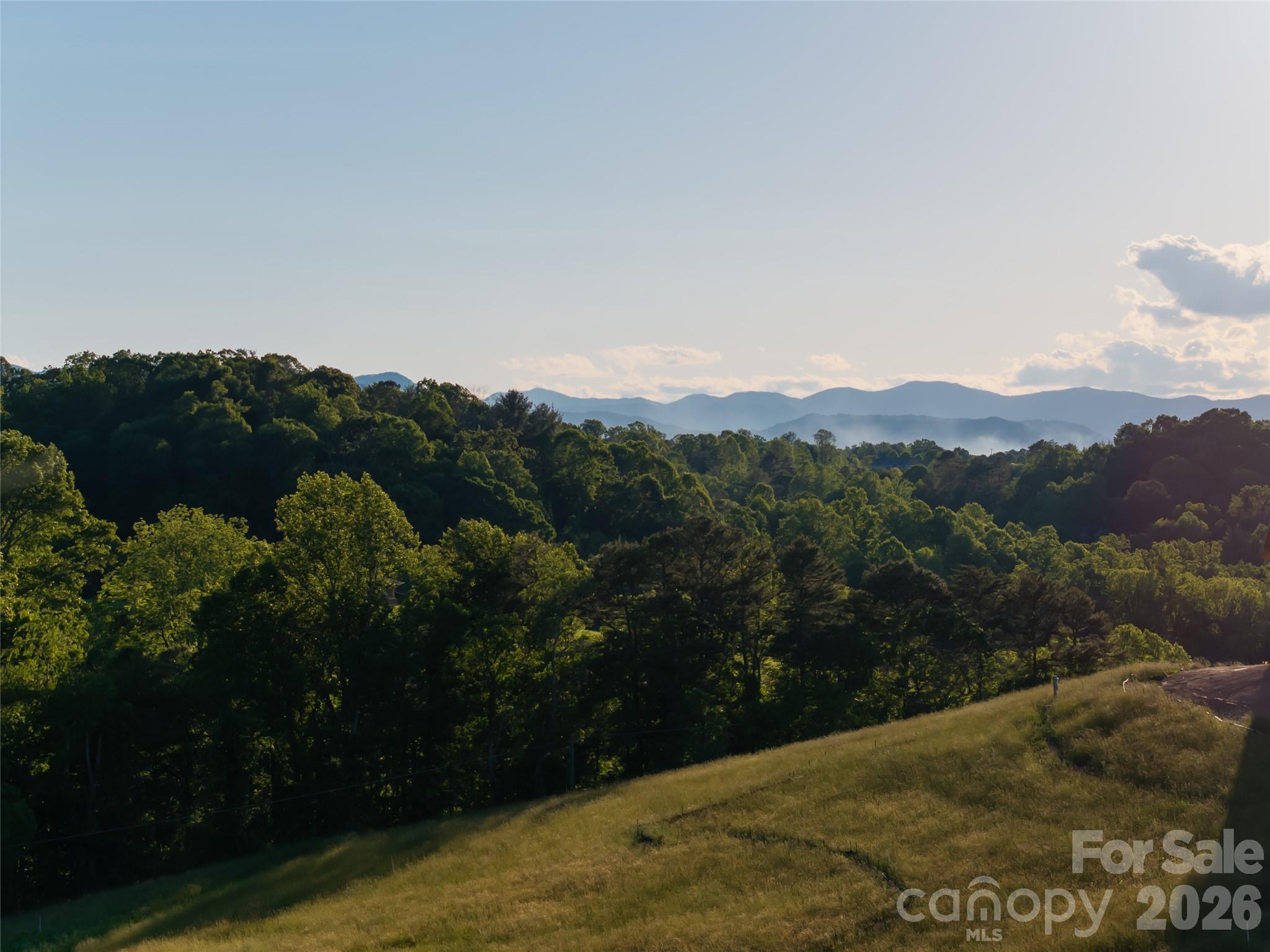 124 Lilikoi Lane Asheville NC 28804