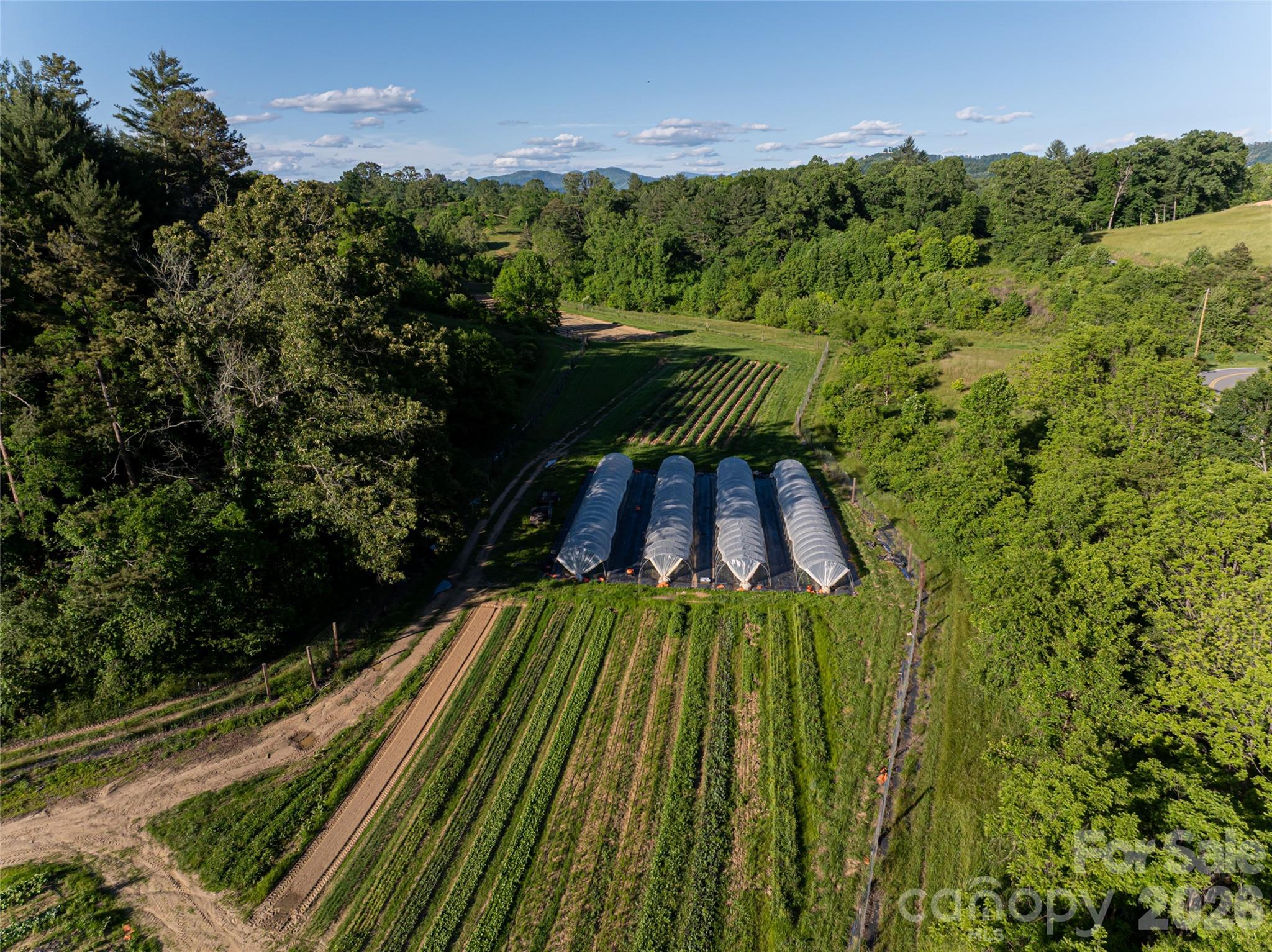 124 Lilikoi Lane Asheville NC 28804