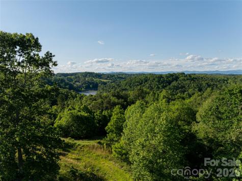 124 Lilikoi Lane Asheville NC 28804