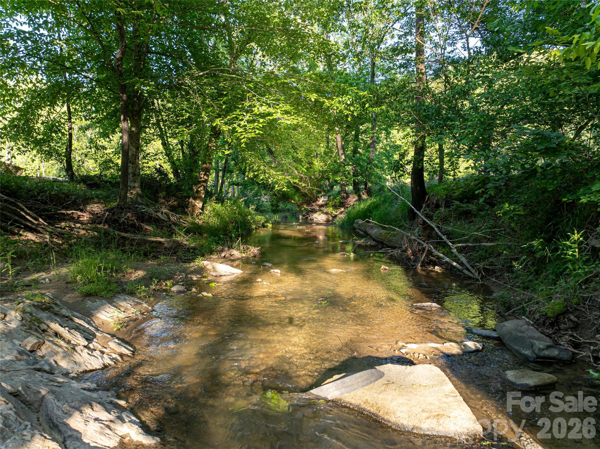 124 Lilikoi Lane Asheville NC 28804
