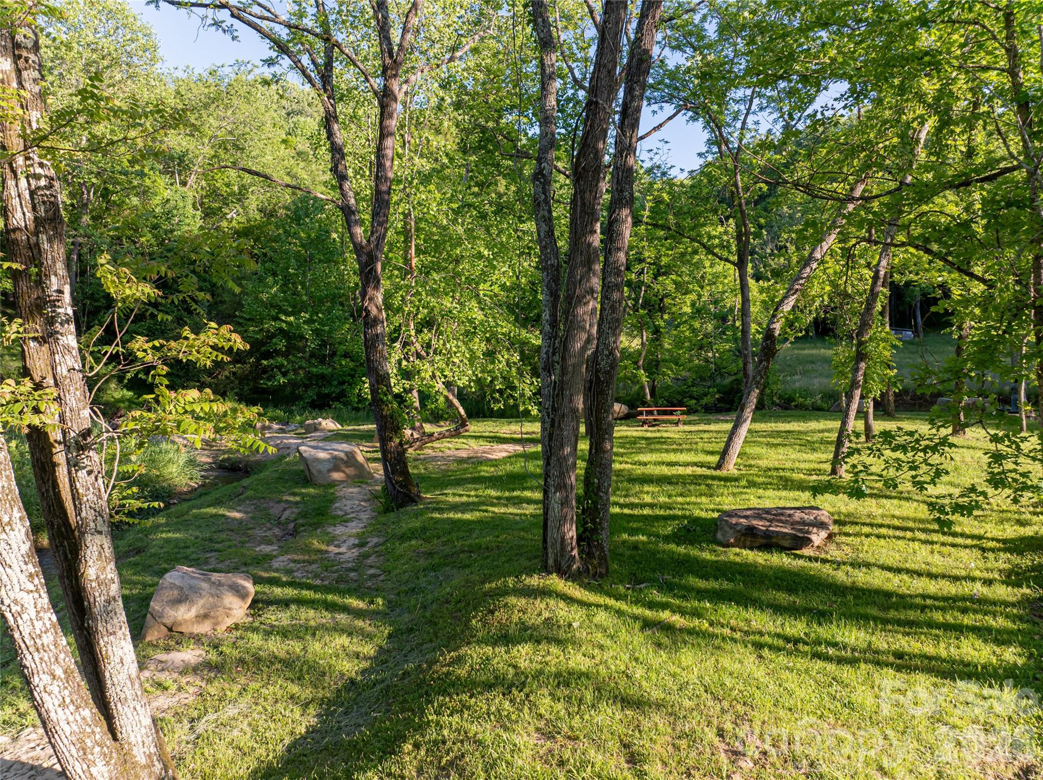 124 Lilikoi Lane Asheville NC 28804