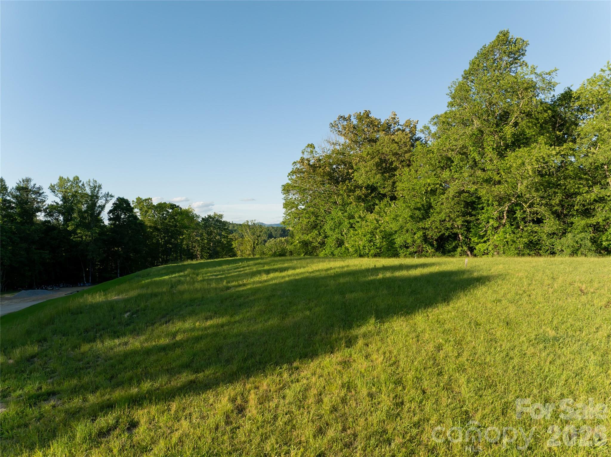 124 Lilikoi Lane Asheville NC 28804